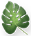 leaf-6