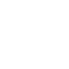 Icon Phone alt