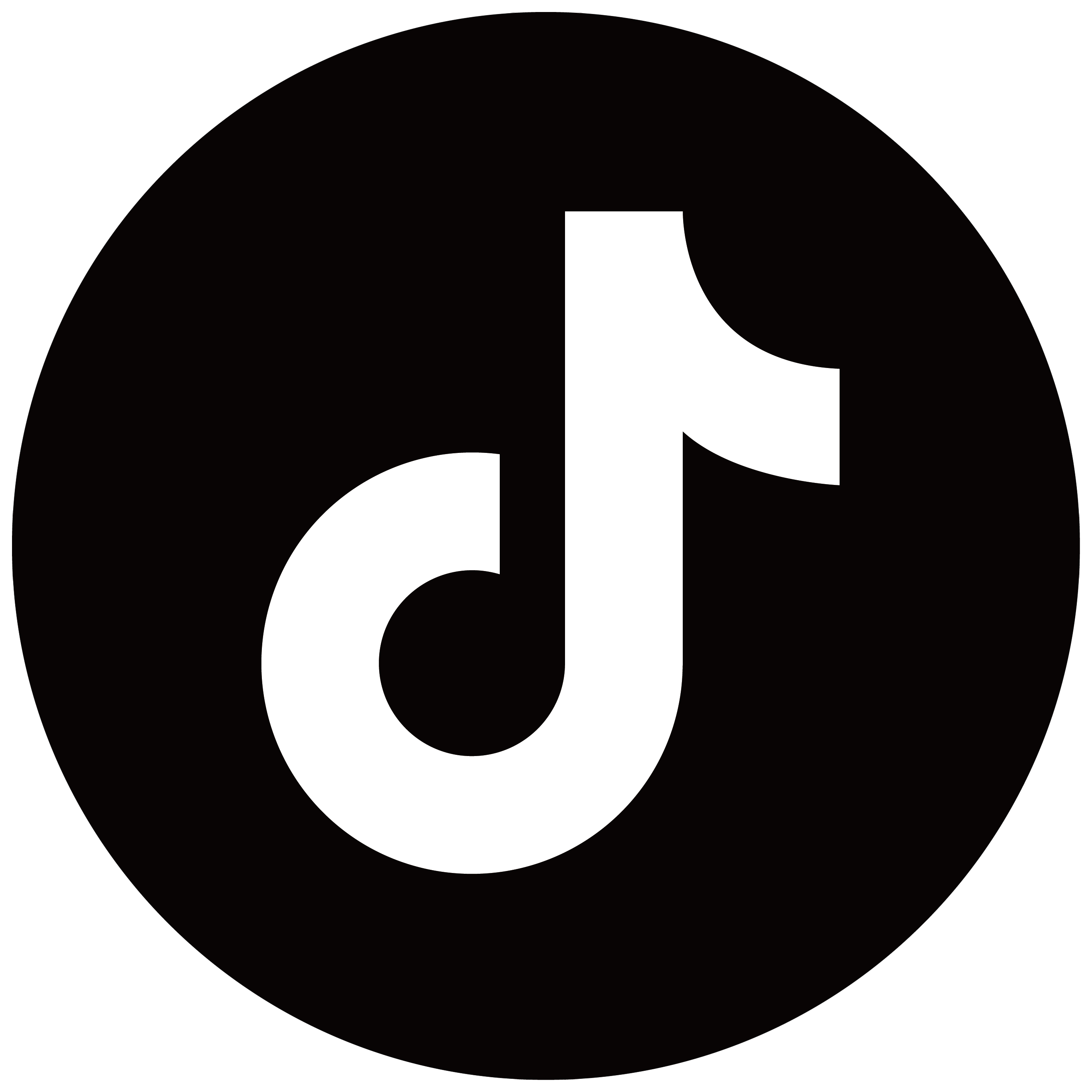 Tiktok Alt