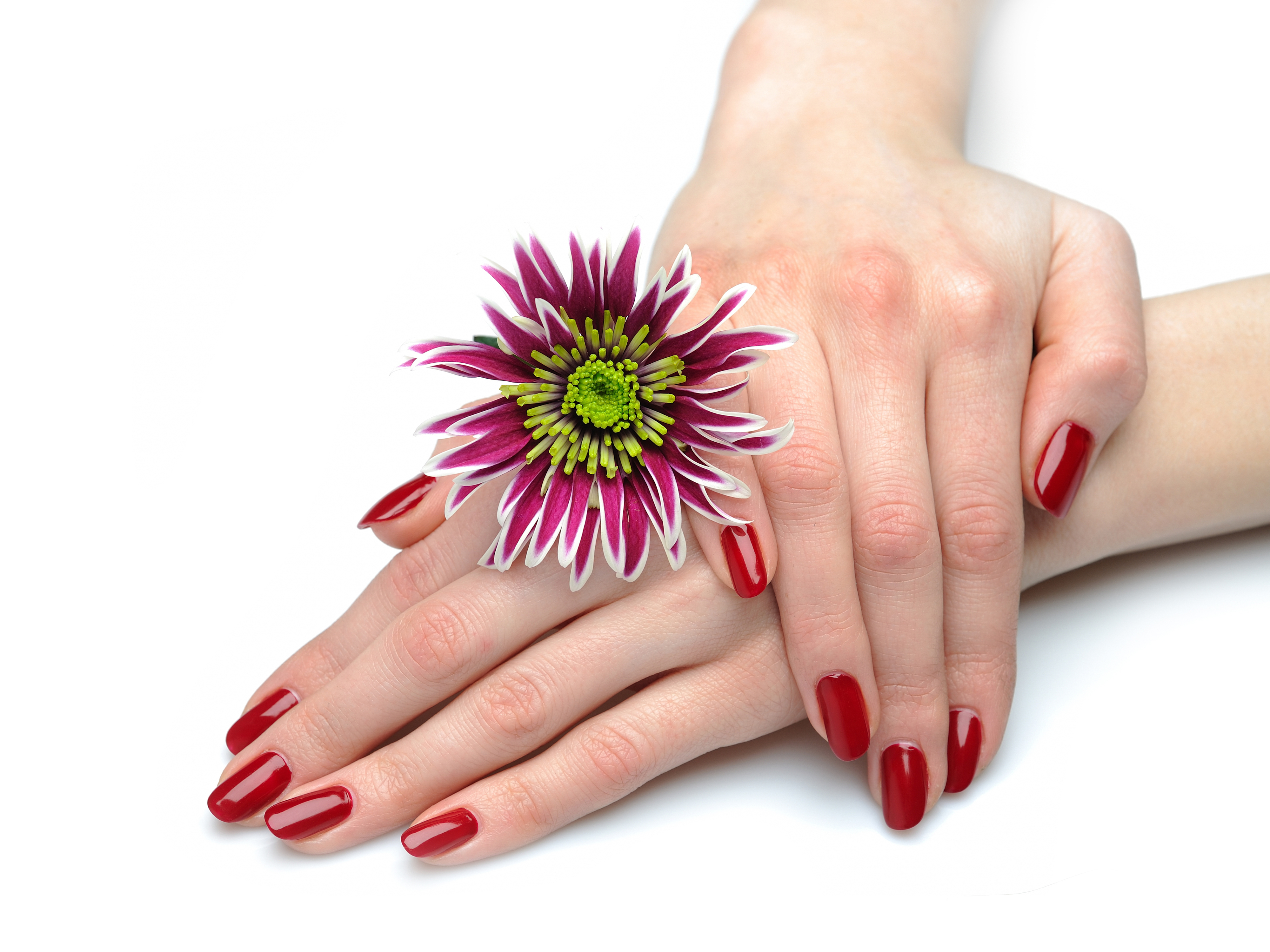 Nail Homepage 3
