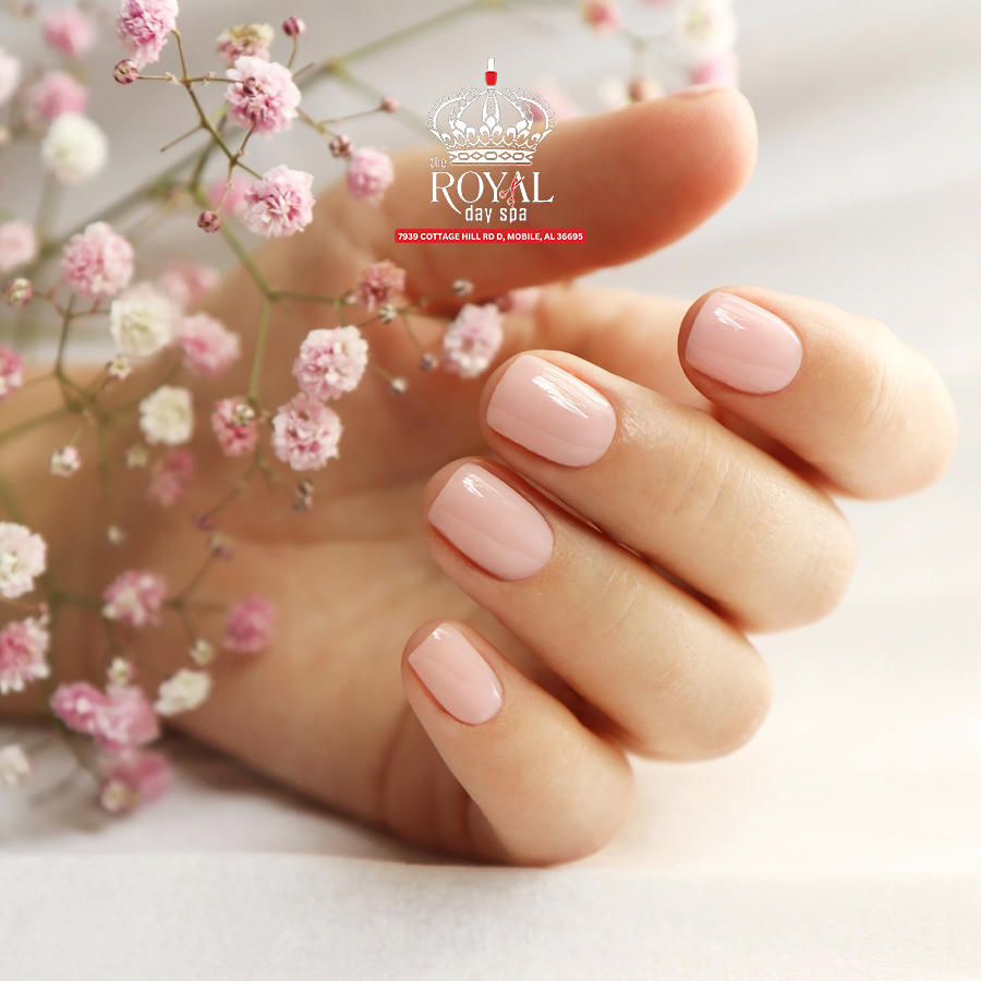 nail design collection