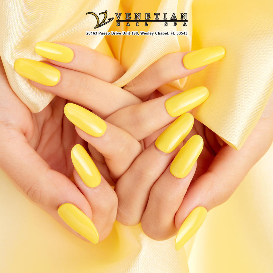Venetian Nail Spa Wesley Chapel