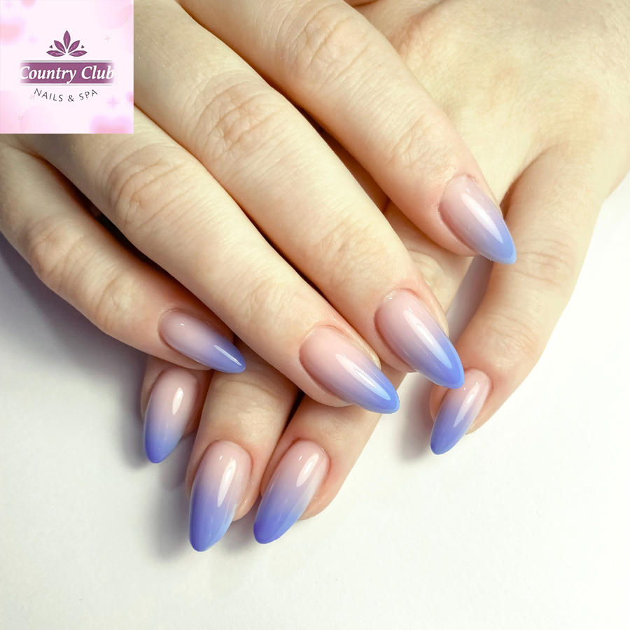 nail design collection