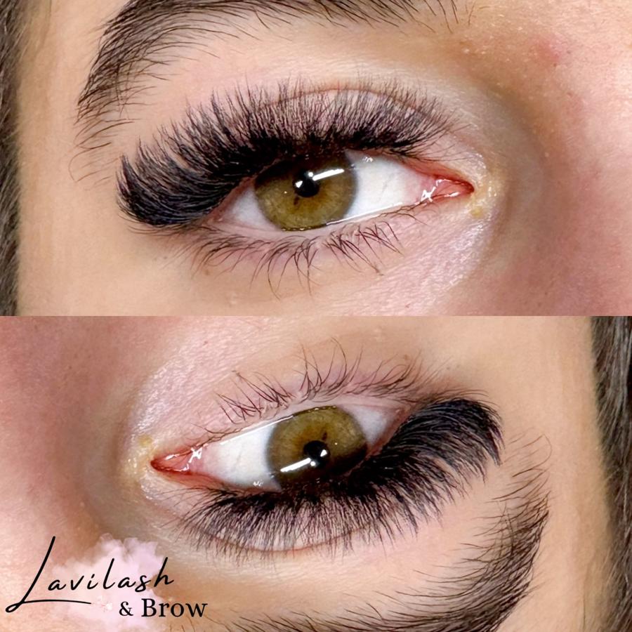 Perfect Lashes and Brows - Lavi studio in Boston, MA 02215