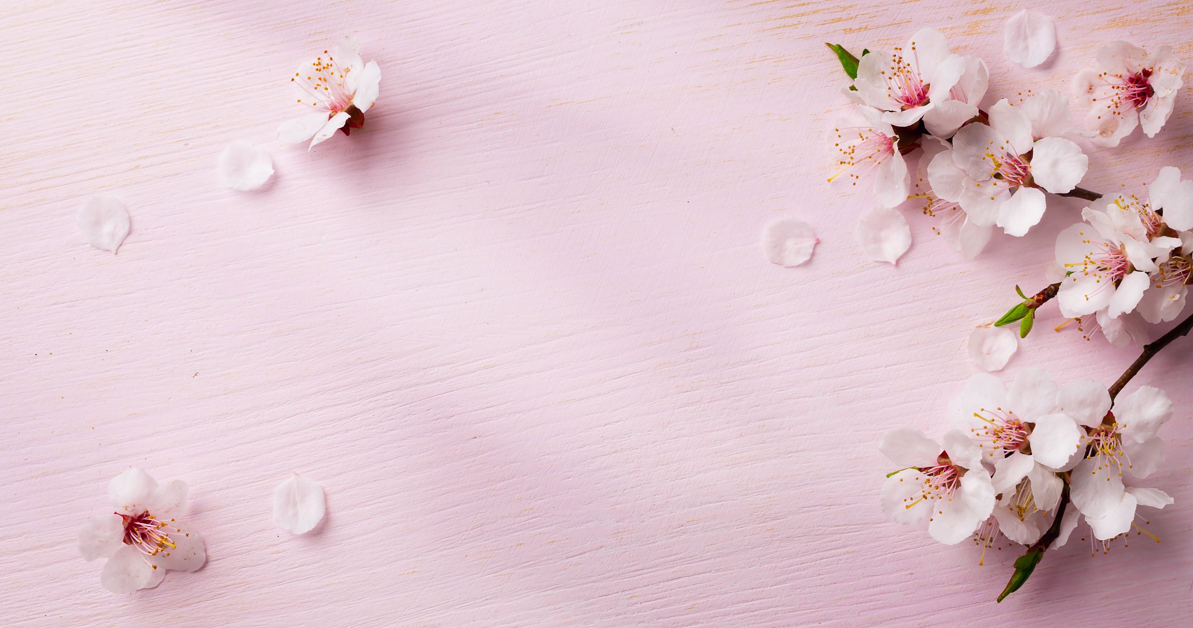 REVITALIZE SKIN BY KT in Plano, TX 75024 | Best Day Spa and Hydrafacial