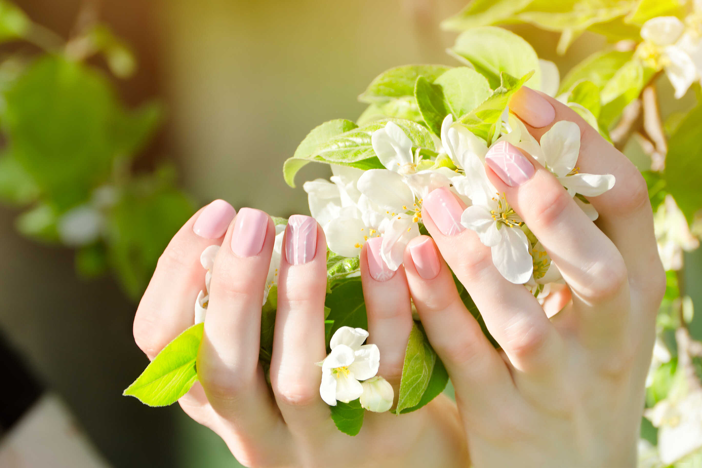 We Care Nails Salon And Spa in Tampa, FL 33619