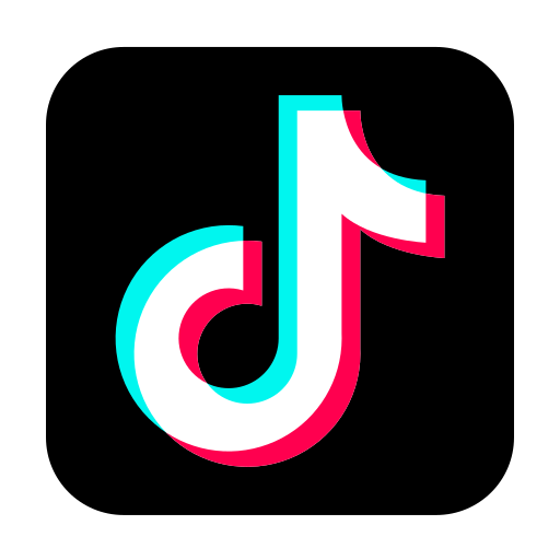 Icon alt instagram