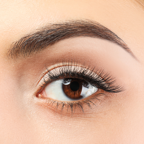 Touch Up's