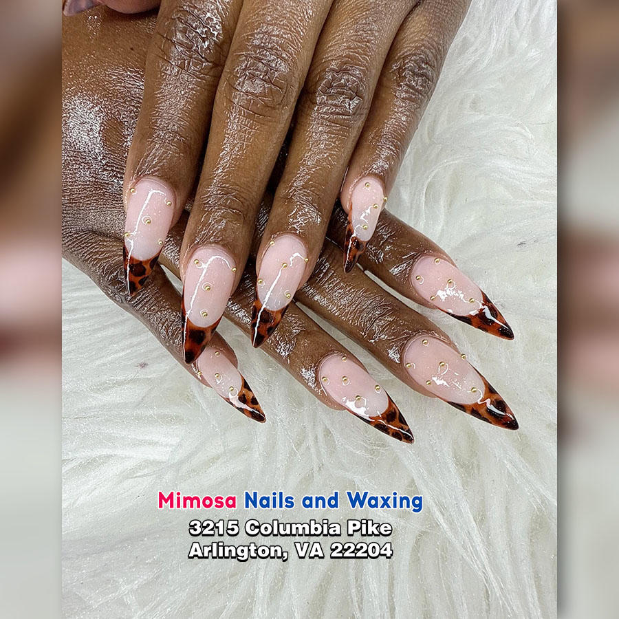 Nail design collection